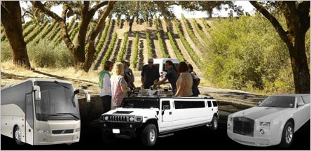 Sonoma Valley Wine Tours Limo Service Sausalito