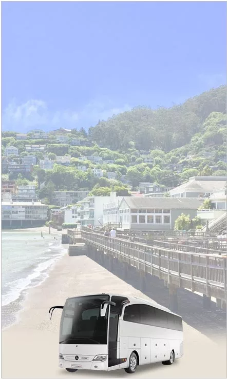 Sausalito Sightseeing And Tours Sausalito Sightseeing And Tours